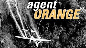 Agent Orange Logo